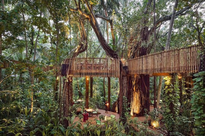 Niyama Private Islands Maldives - 60