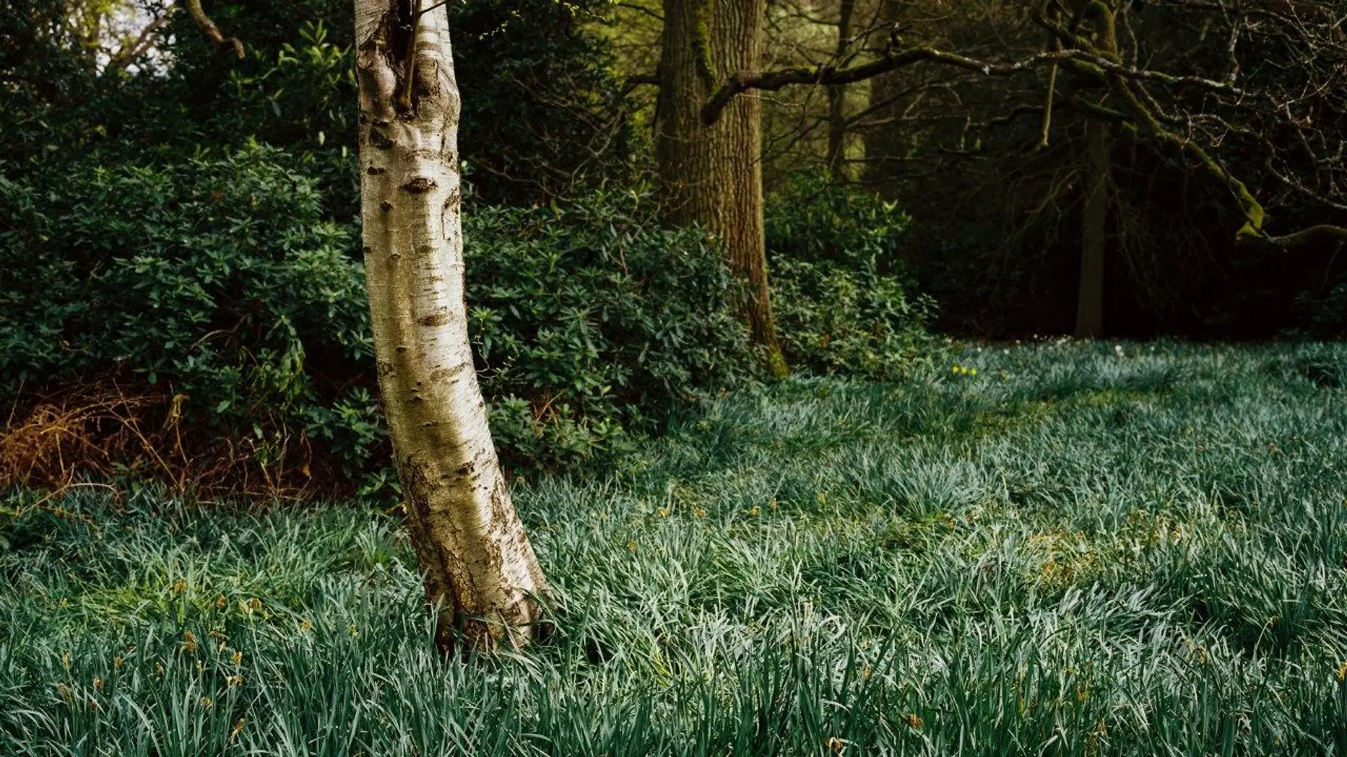 Hotel review Sustainability' - Heckfield Place - 1