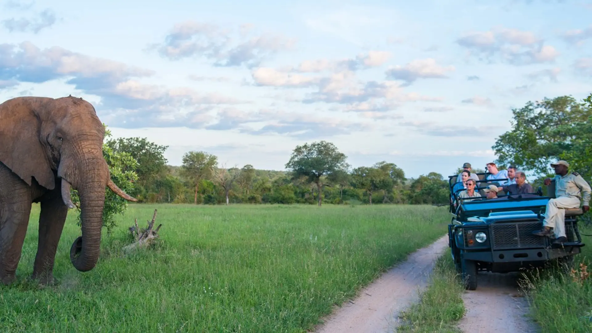 Hotel review Service & Facilities' - Sabi Sabi Private Game Reserve  - 5