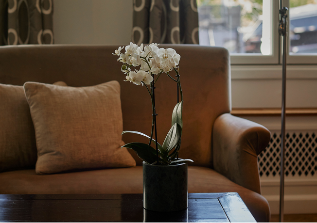 Verified hotel review - Nimb Hotel - 56