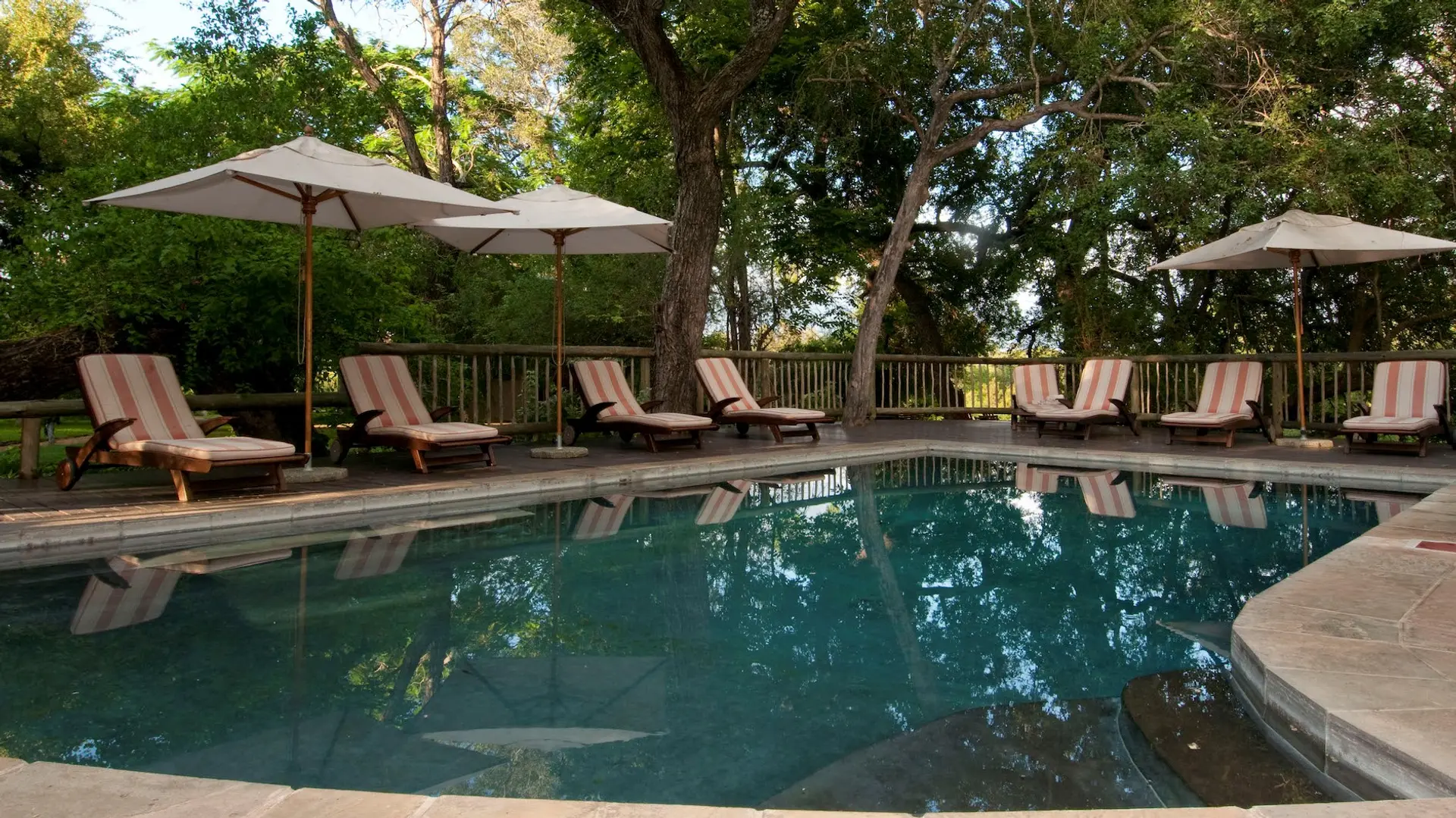 Review of Sabi Sabi Private Game Reserve - 3
