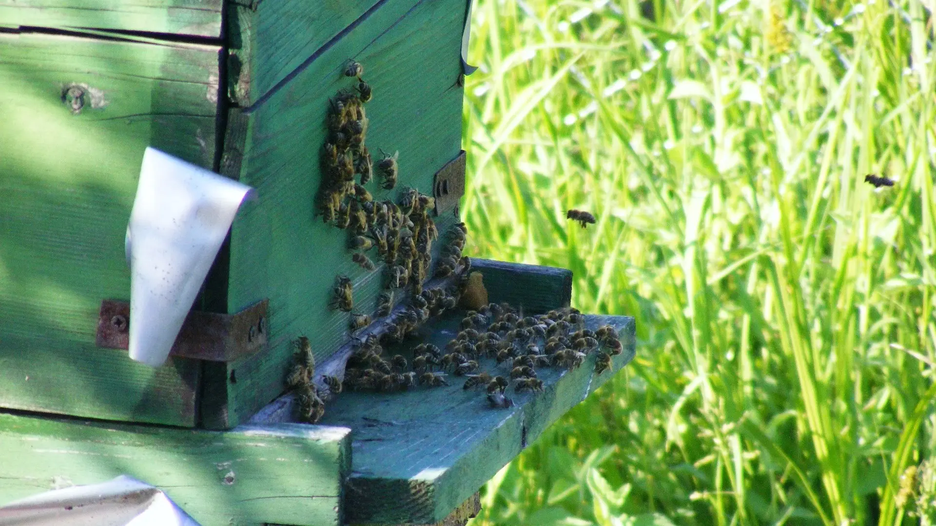 Hotel review What We Love' - The Ritz-Carlton, Berlin - 2