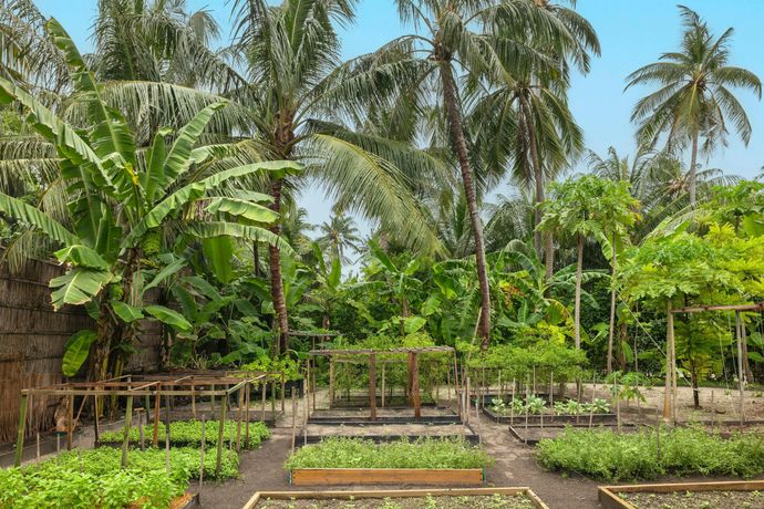 Raffles Maldives Meradhoo - 49