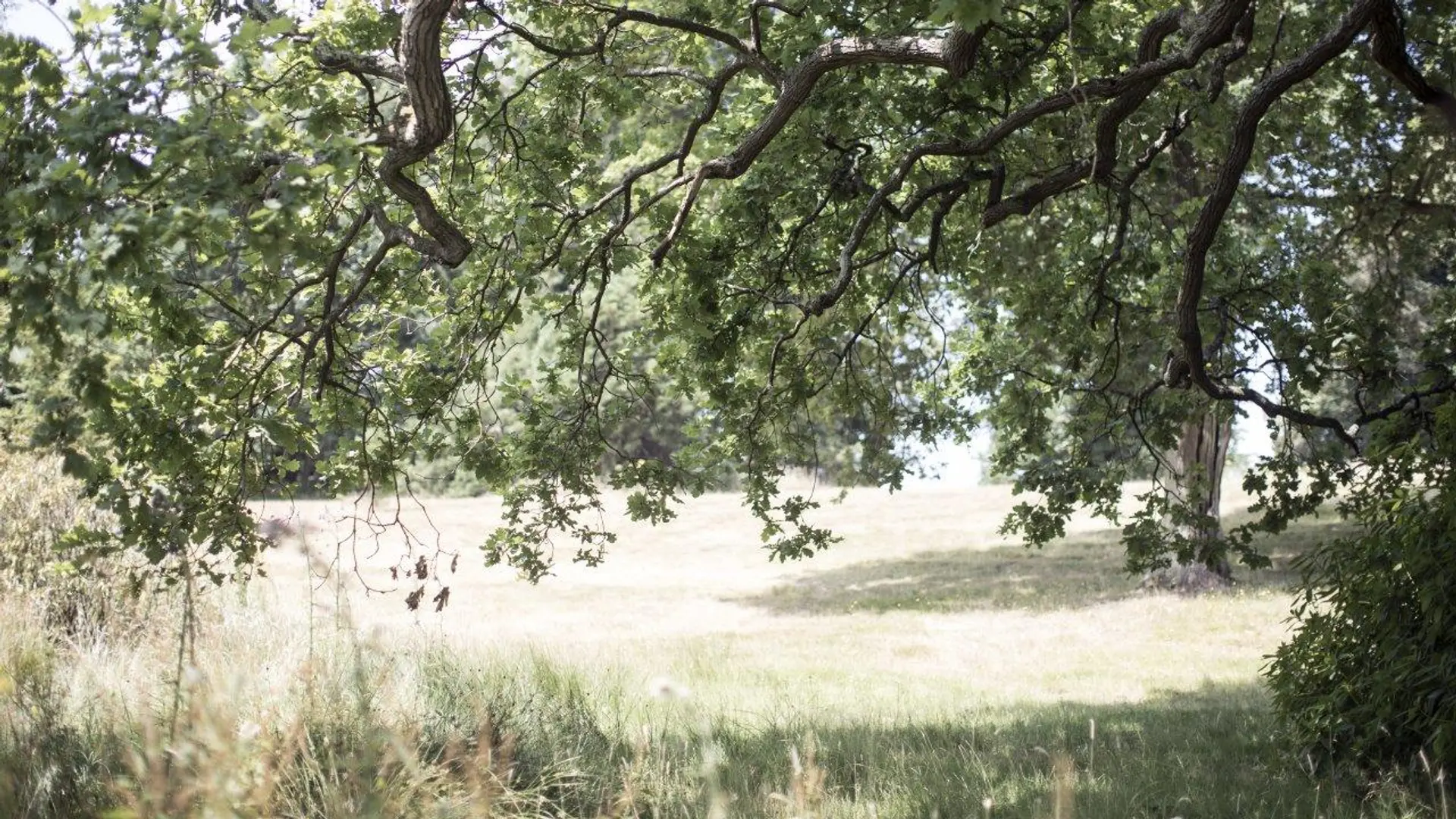 Review of Heckfield Place - 2