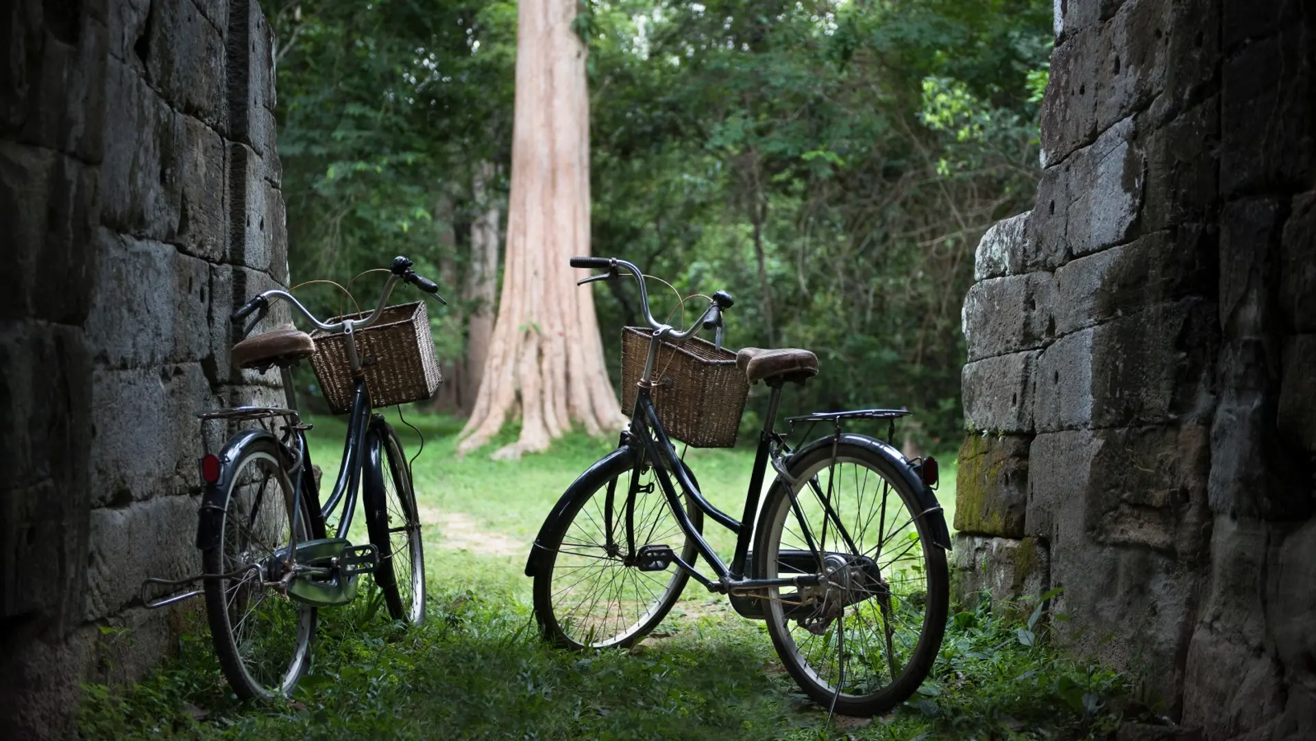 Hotel review Sustainability' - Amansara - 0