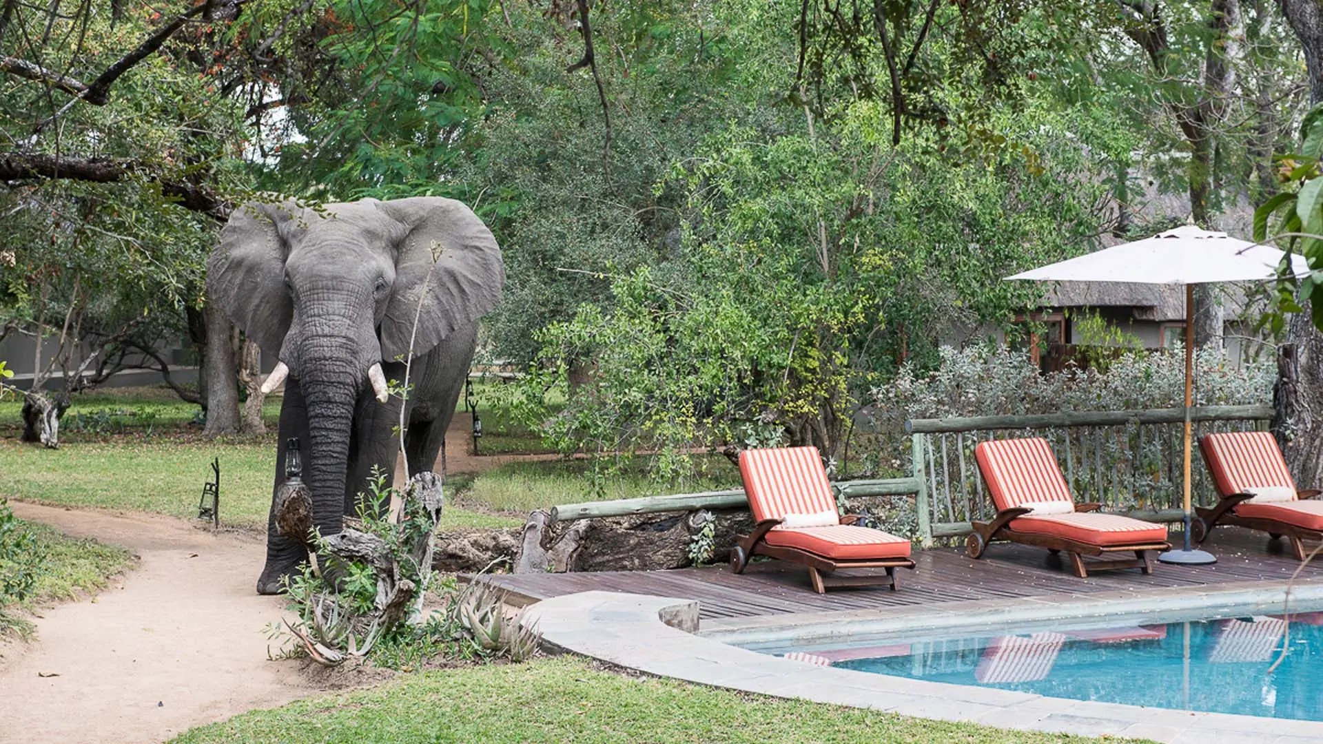 Hotel review Location' - Sabi Sabi Private Game Reserve  - 4