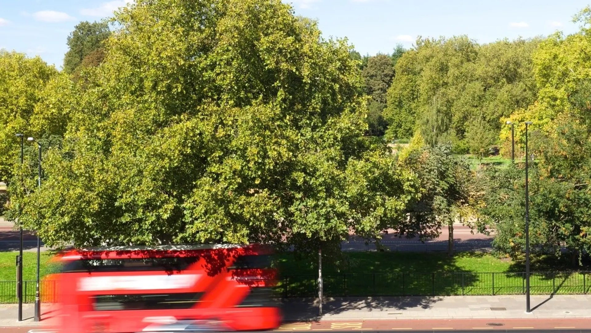 Hotel review Location' - The Wellesley - 1