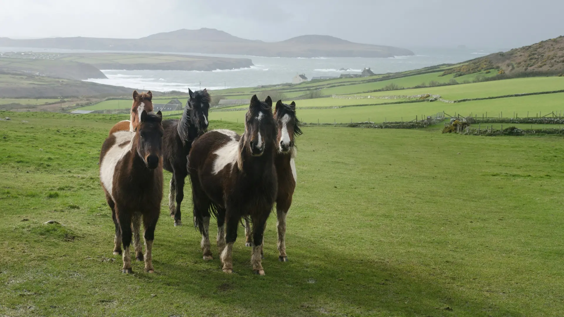 Hotel review Location' - Grove of Narberth - 4