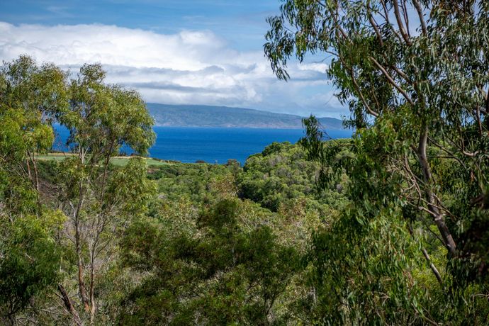 Verified hotel review - The Ritz-Carlton Kapalua - 32