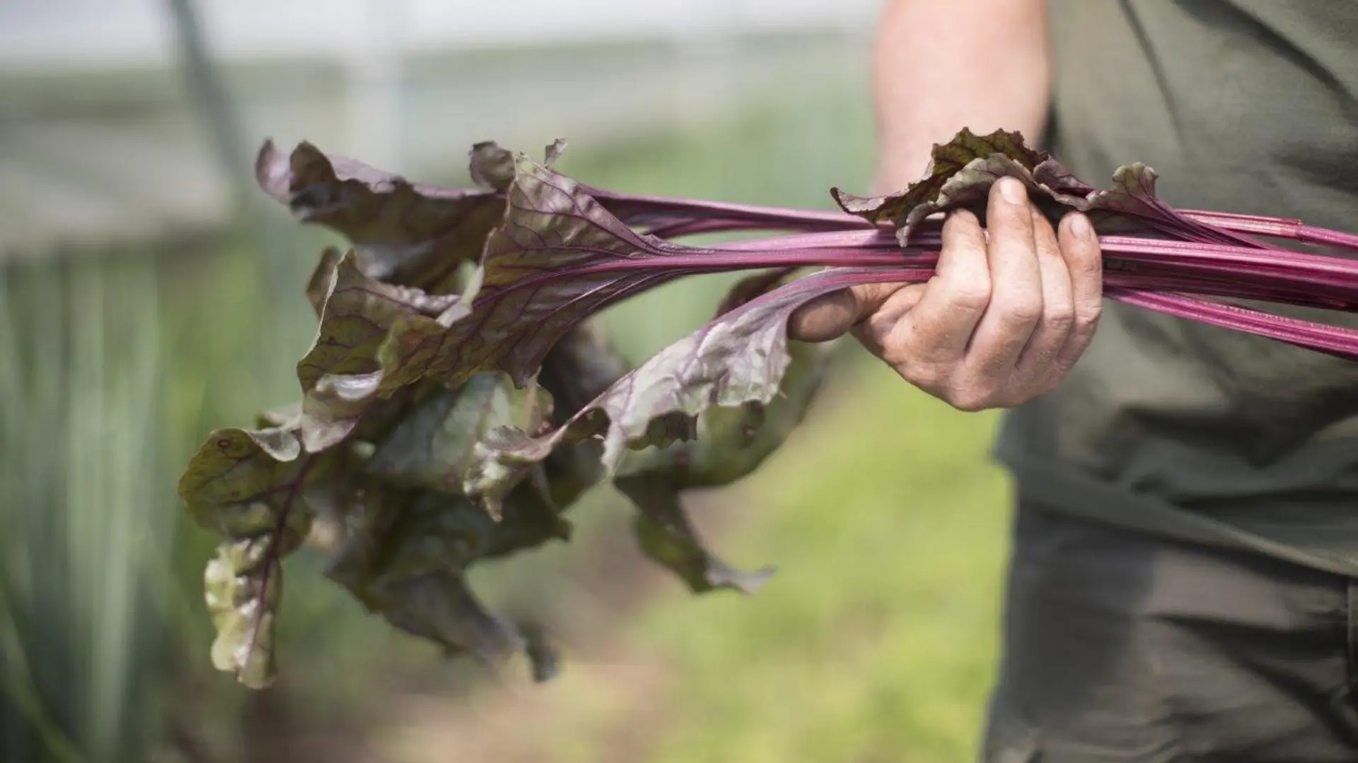 Hotel review Sustainability' - Heckfield Place - 2