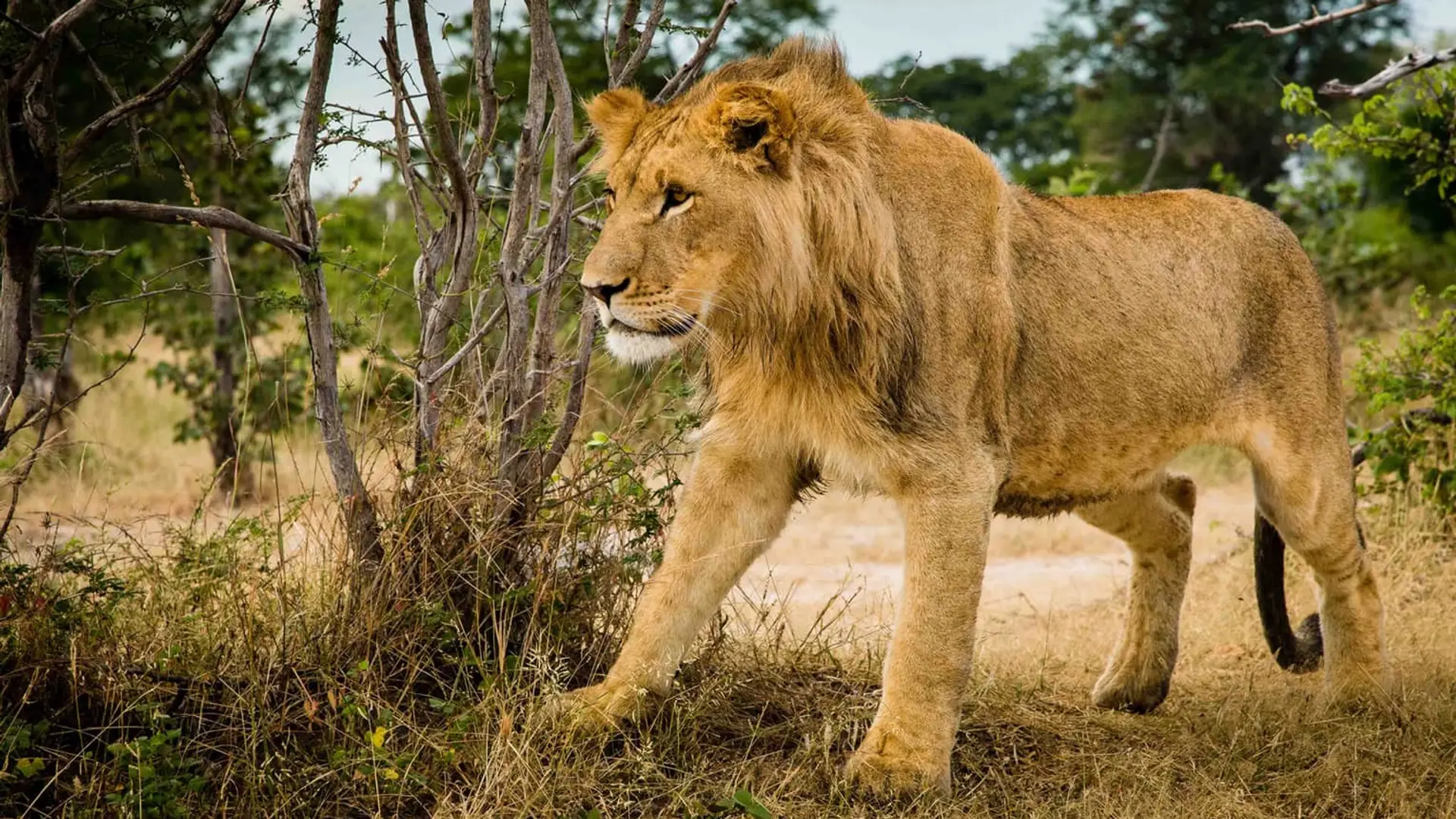 Hotel review Service & Facilities' - Four Seasons Safari Lodge Serengeti - 0