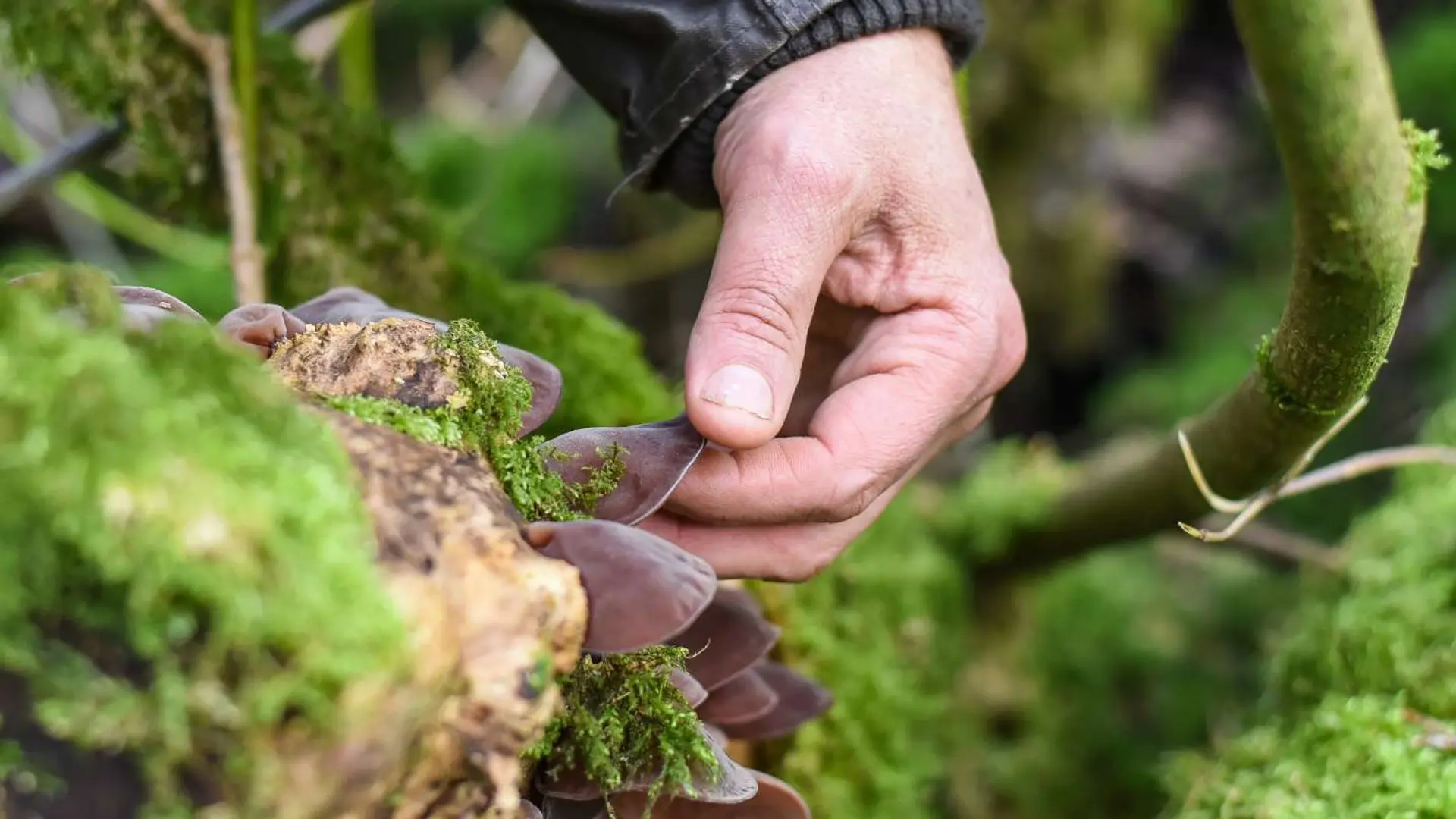 Hotel review Sustainability' - Hotel Endsleigh - 0