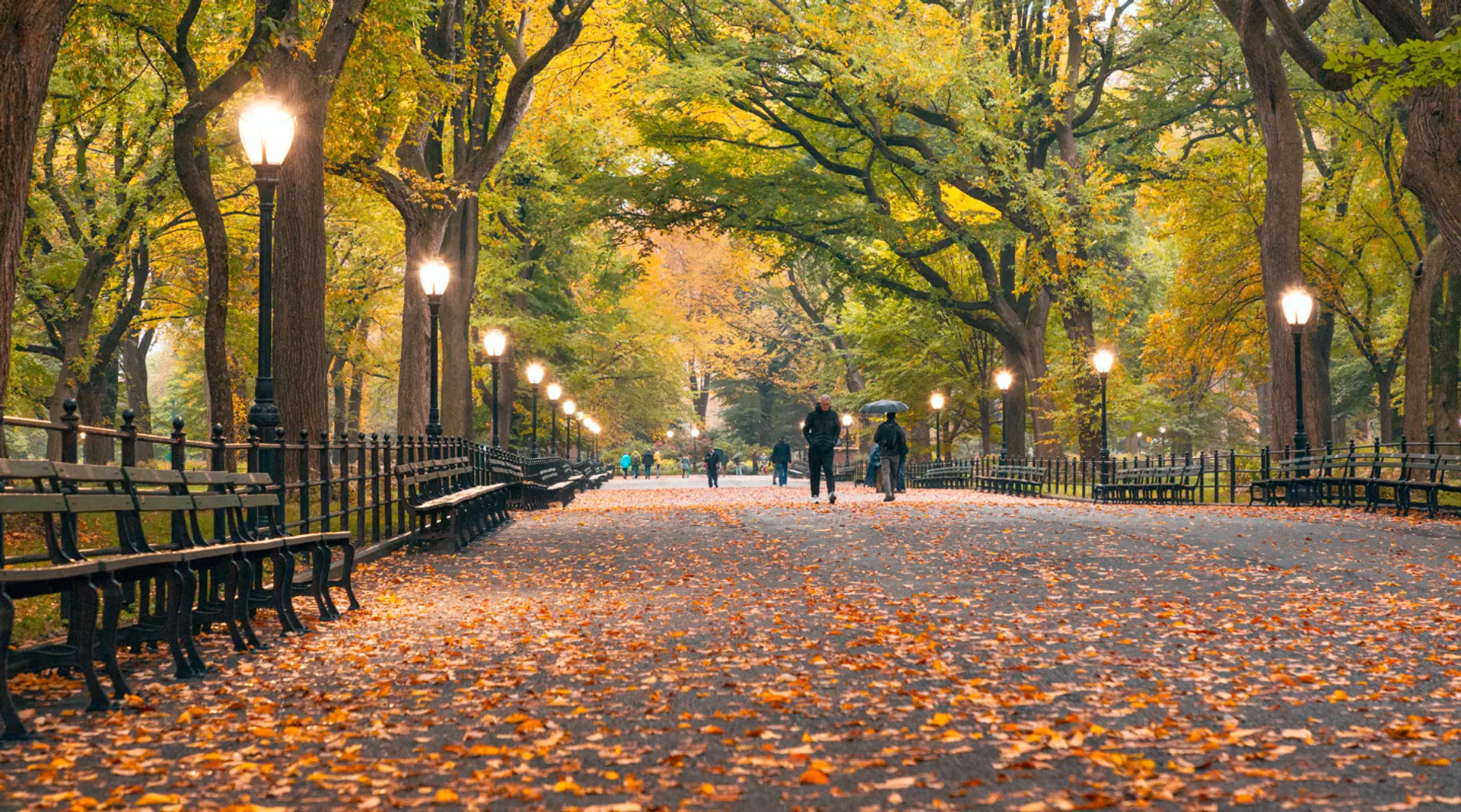 Review of The St. Regis New York - 9