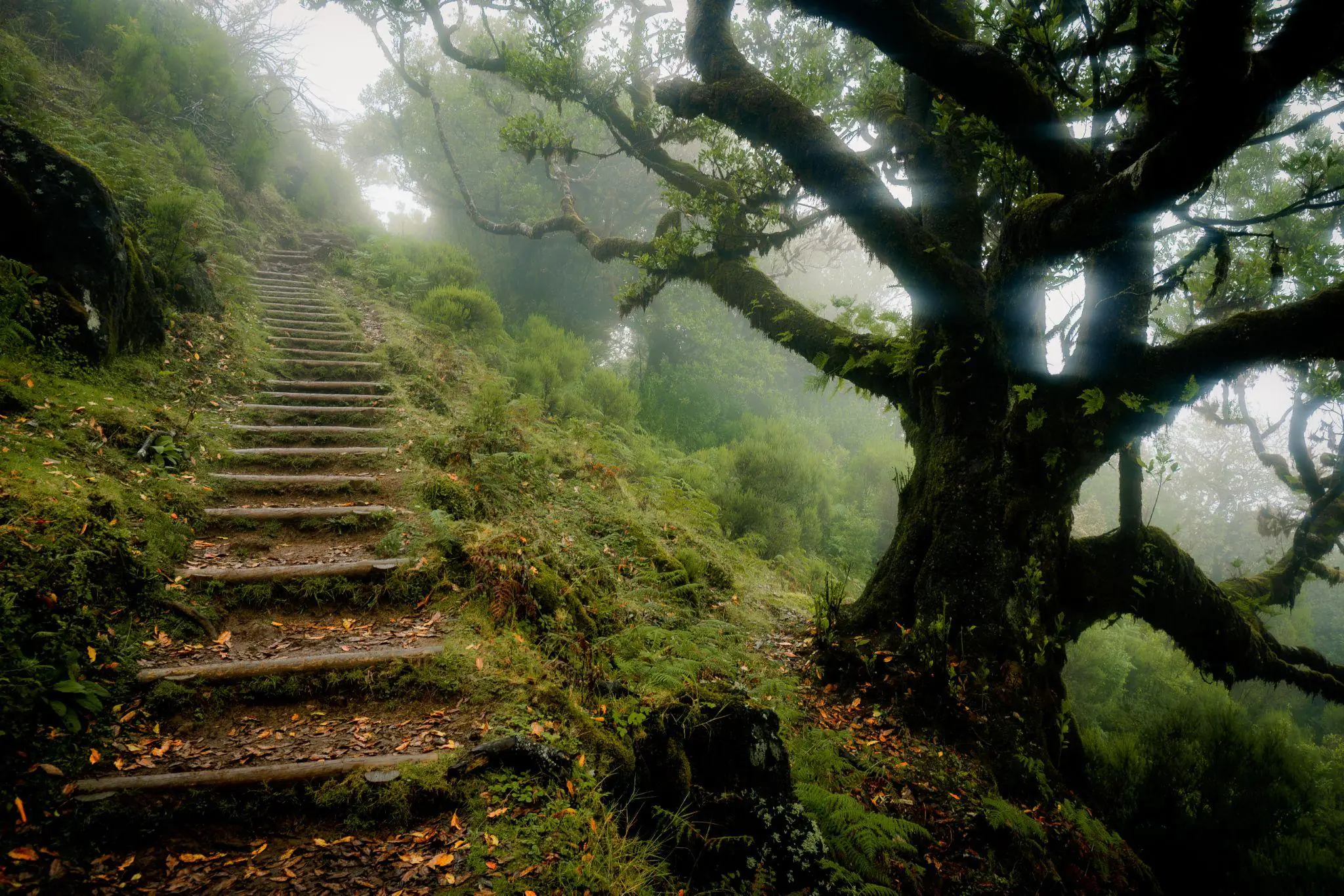 Madeira Island - How Many Days Do You Need? - 2