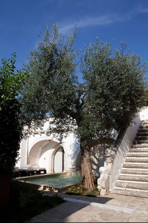 La Sommità Relais - 33