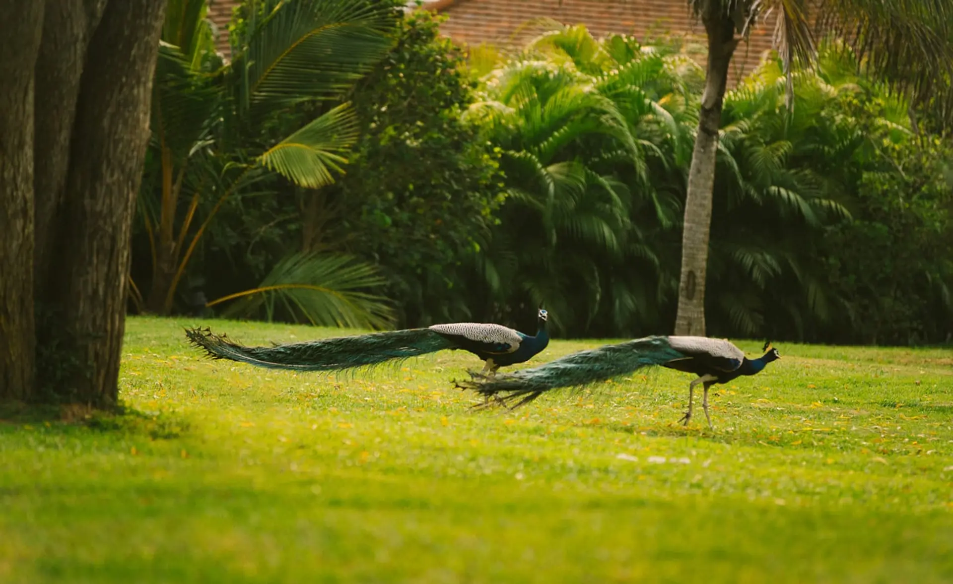 Hotel review What We Love' - Anantara Peace Haven Tangalle Resort - 0