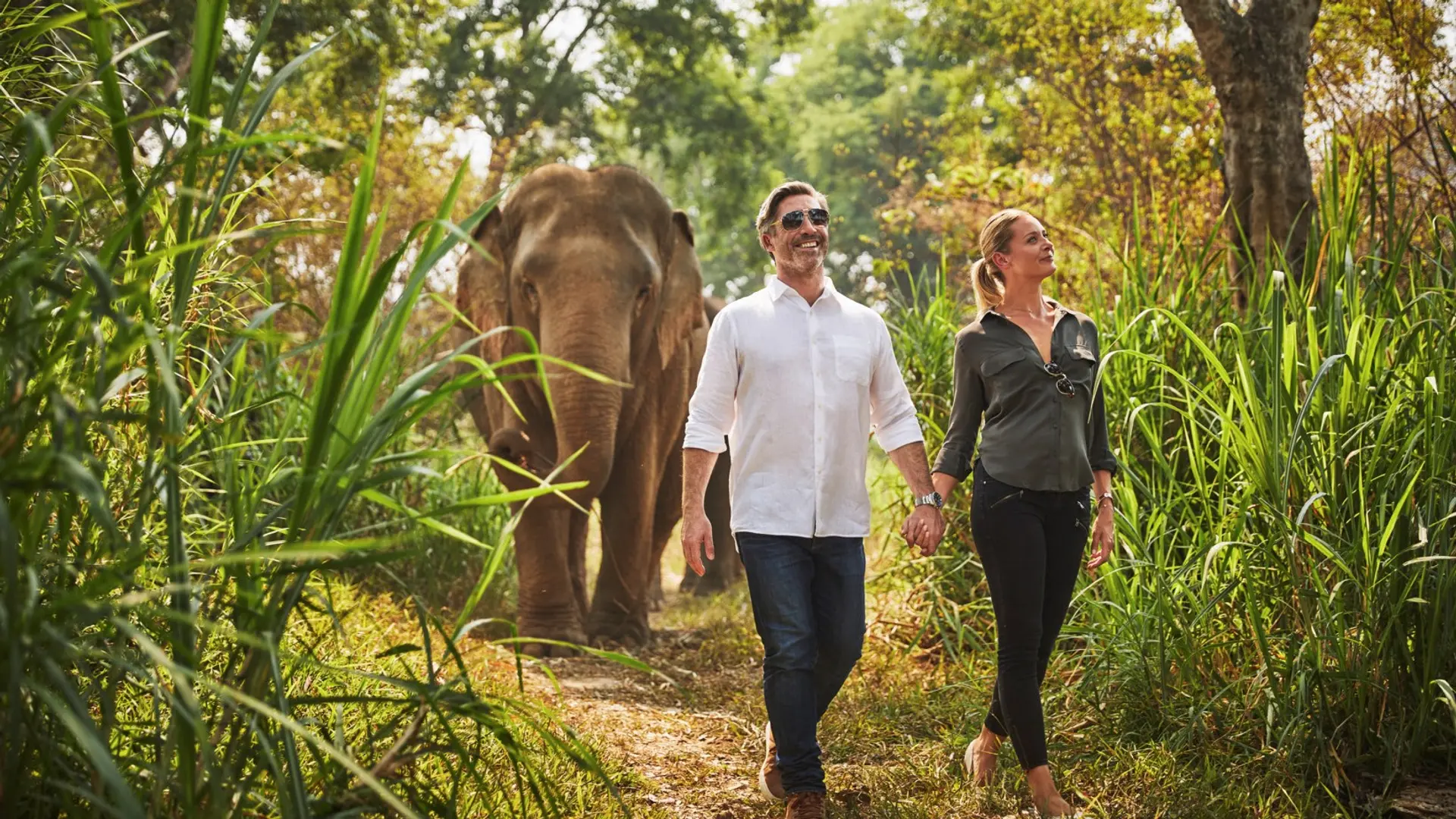 Hotel review What We Love' - Anantara Golden Triangle Elephant Camp & Resort - 1
