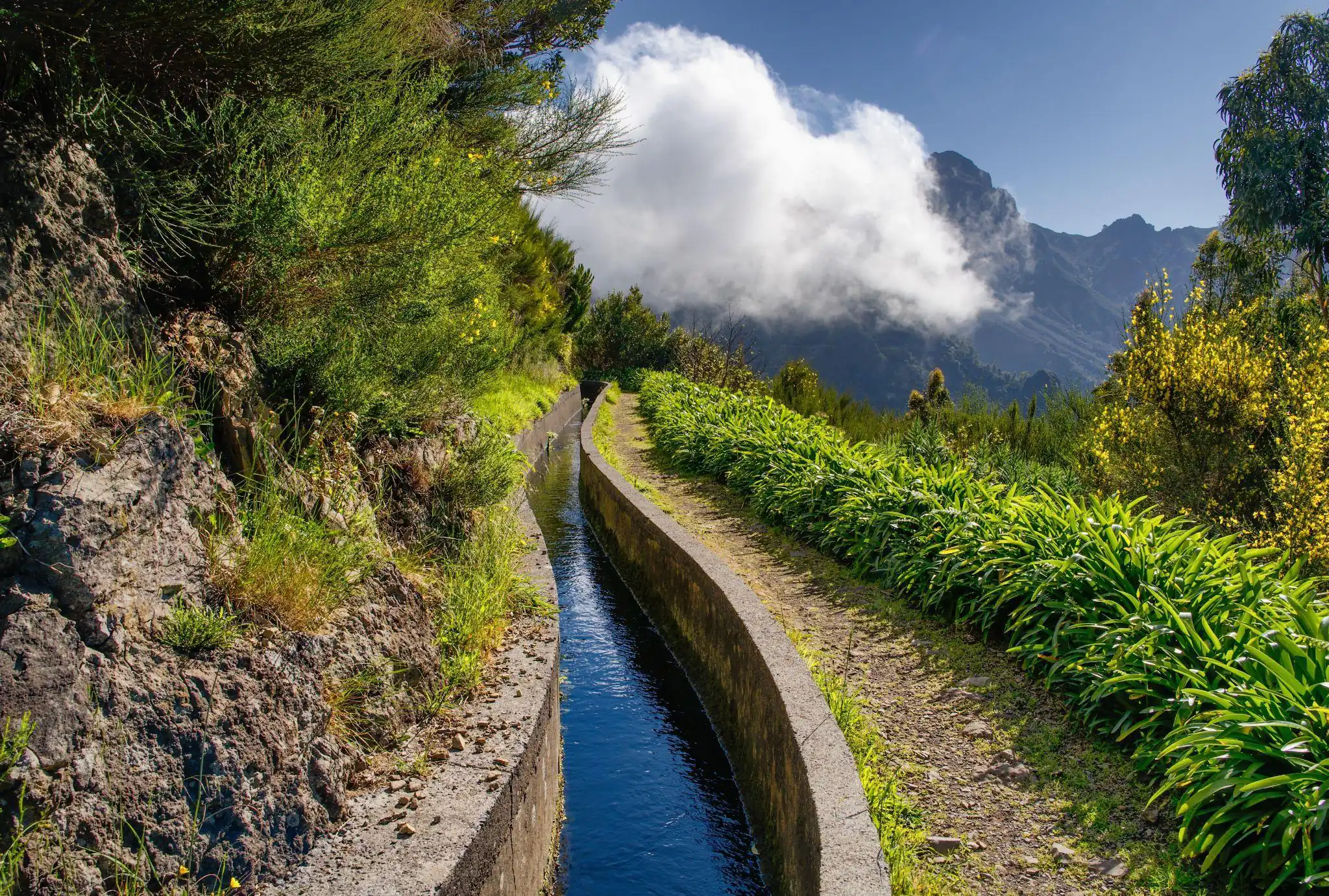 Madeira Island - At A Glance - 1
