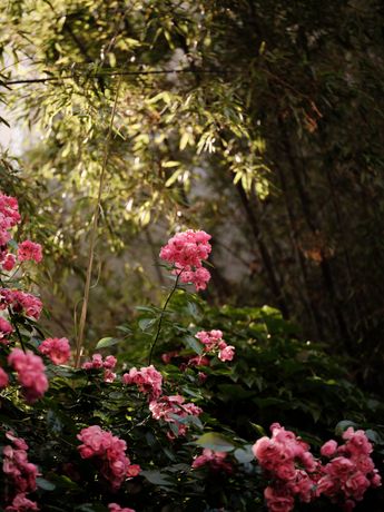 Verified hotel review - Capella Shanghai Jian Ye Li - 44