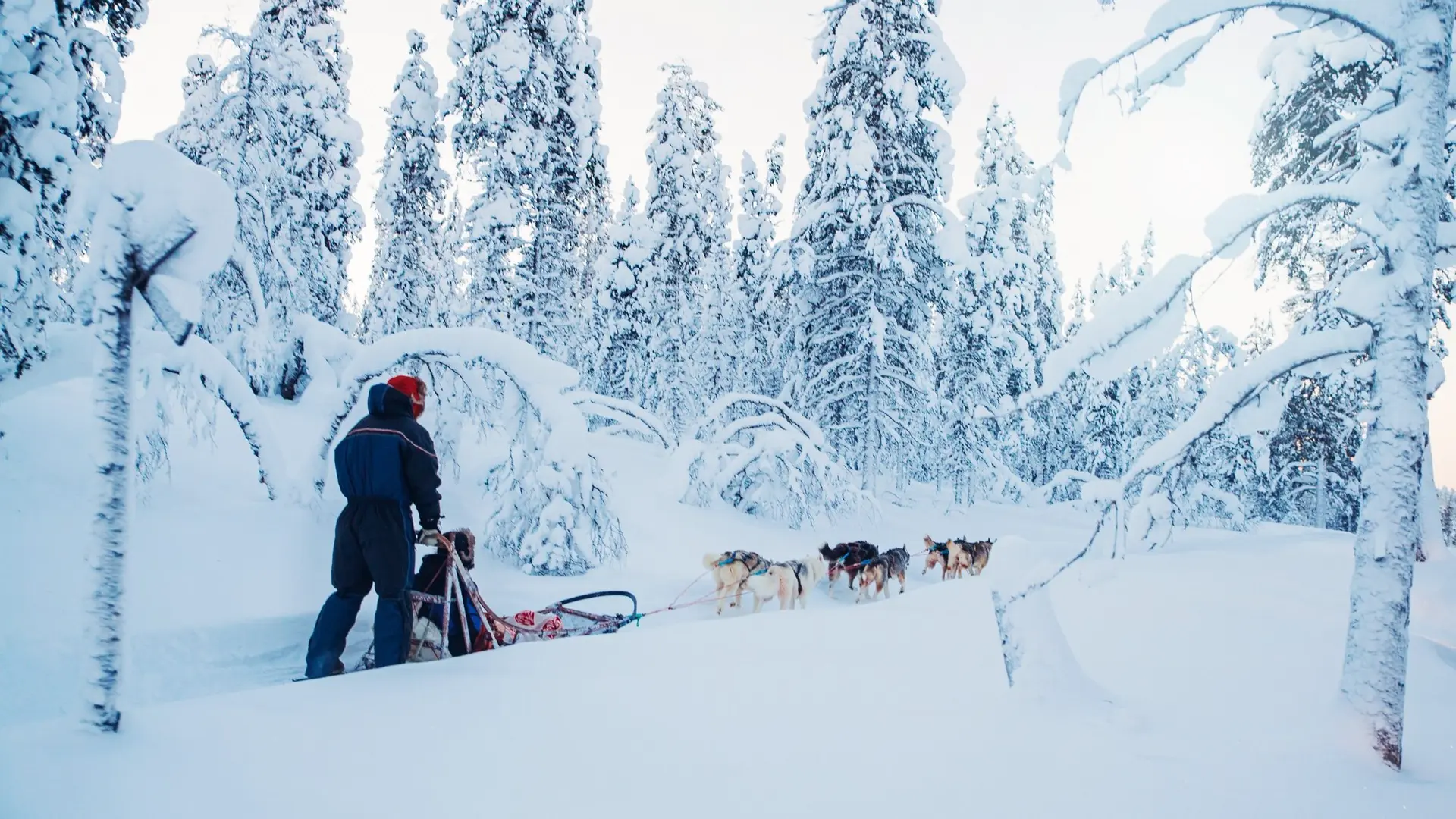 Hotel review Service & Facilities' - Kakslauttanen Arctic Resort - Igloos and Chalets - 0