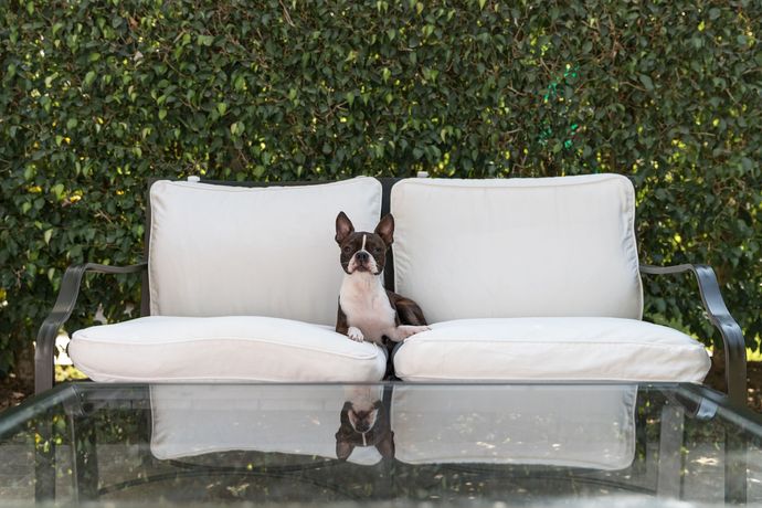 Country Club Lima Hotel - 4