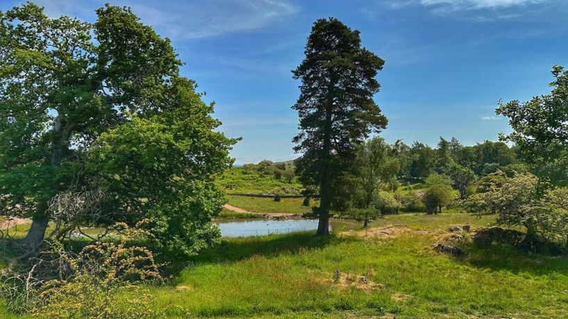 Gilpin Hotel & Lake House - 5