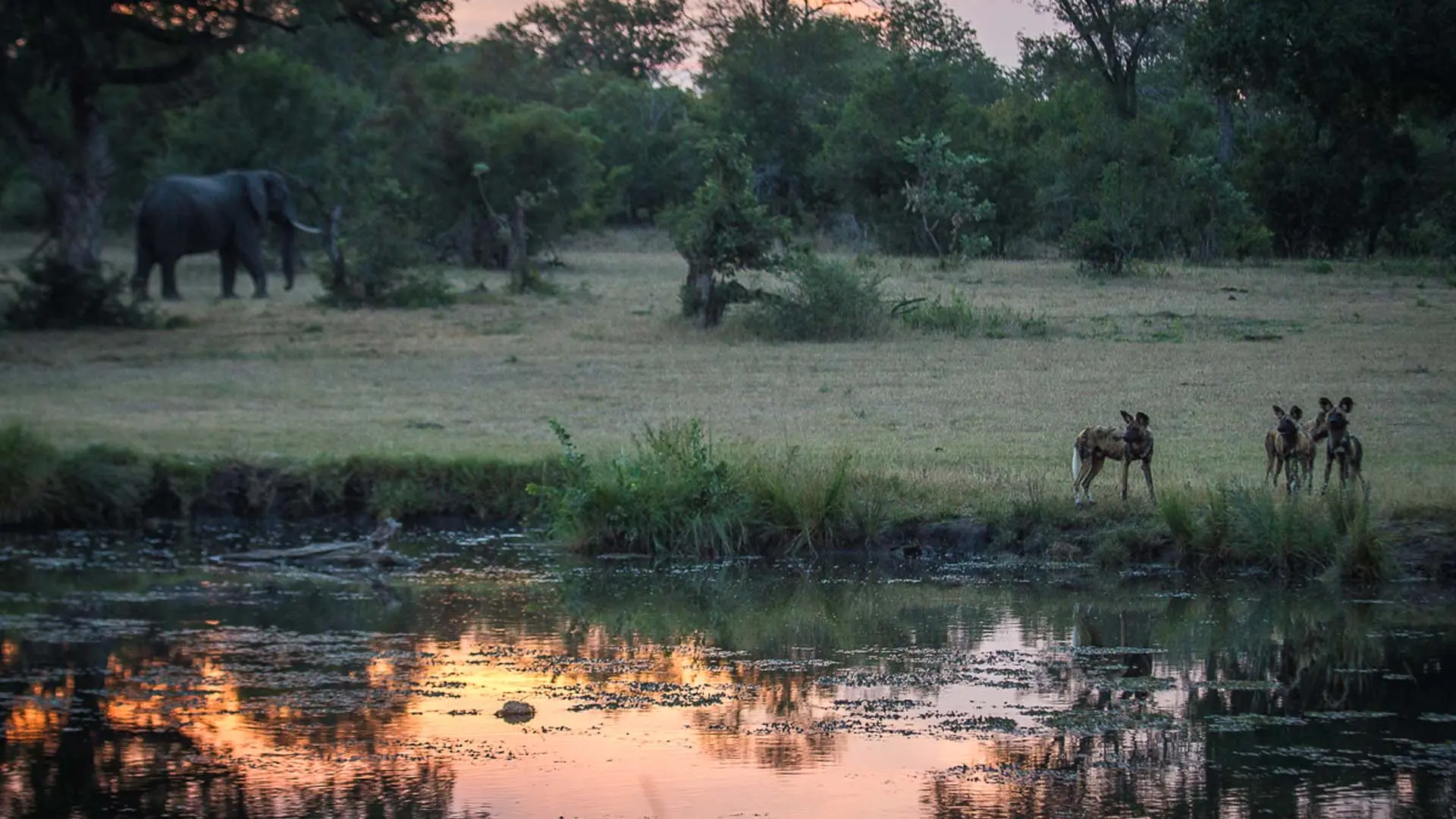 Hotel review Service & Facilities' - Sabi Sabi Private Game Reserve  - 3