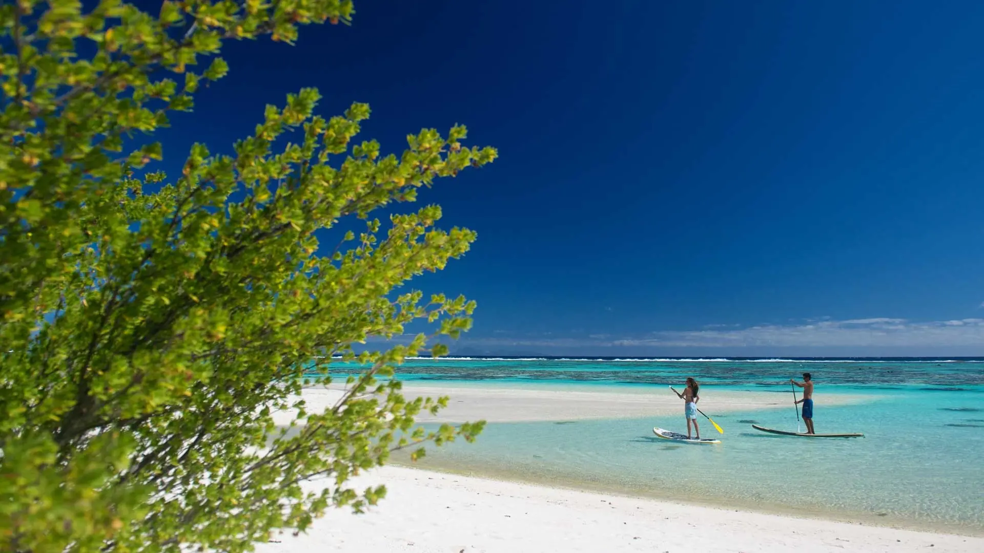 Hotel review Service & Facilities' - The Brando - 2