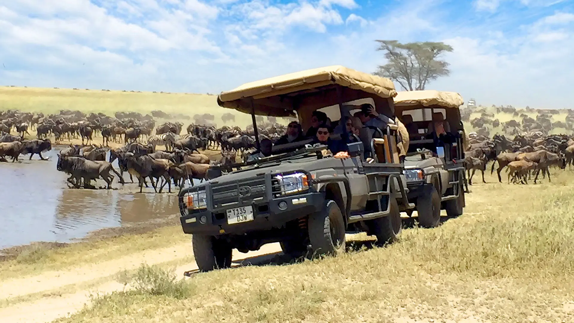 Hotel review Service & Facilities' - One Nature Nyaruswiga Serengeti - 1