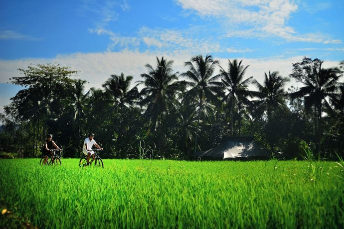 Verified hotel review - Capella Ubud Bali - 55