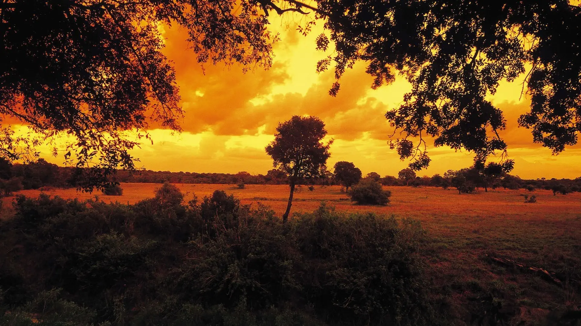 Hotel review Location' - Sabi Sabi Private Game Reserve  - 2