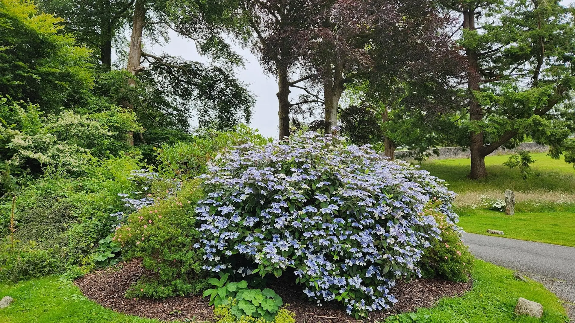 Hotel review Sustainability' - Grove of Narberth - 4