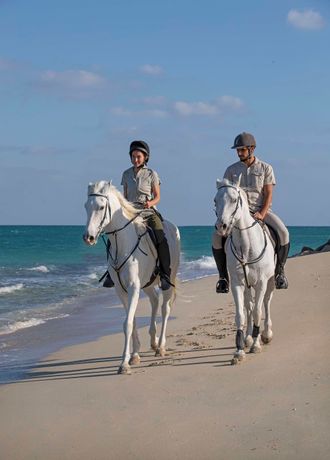 Verified hotel review - Anantara Sir Bani Yas Island Al Yamm Villa Resort - 23