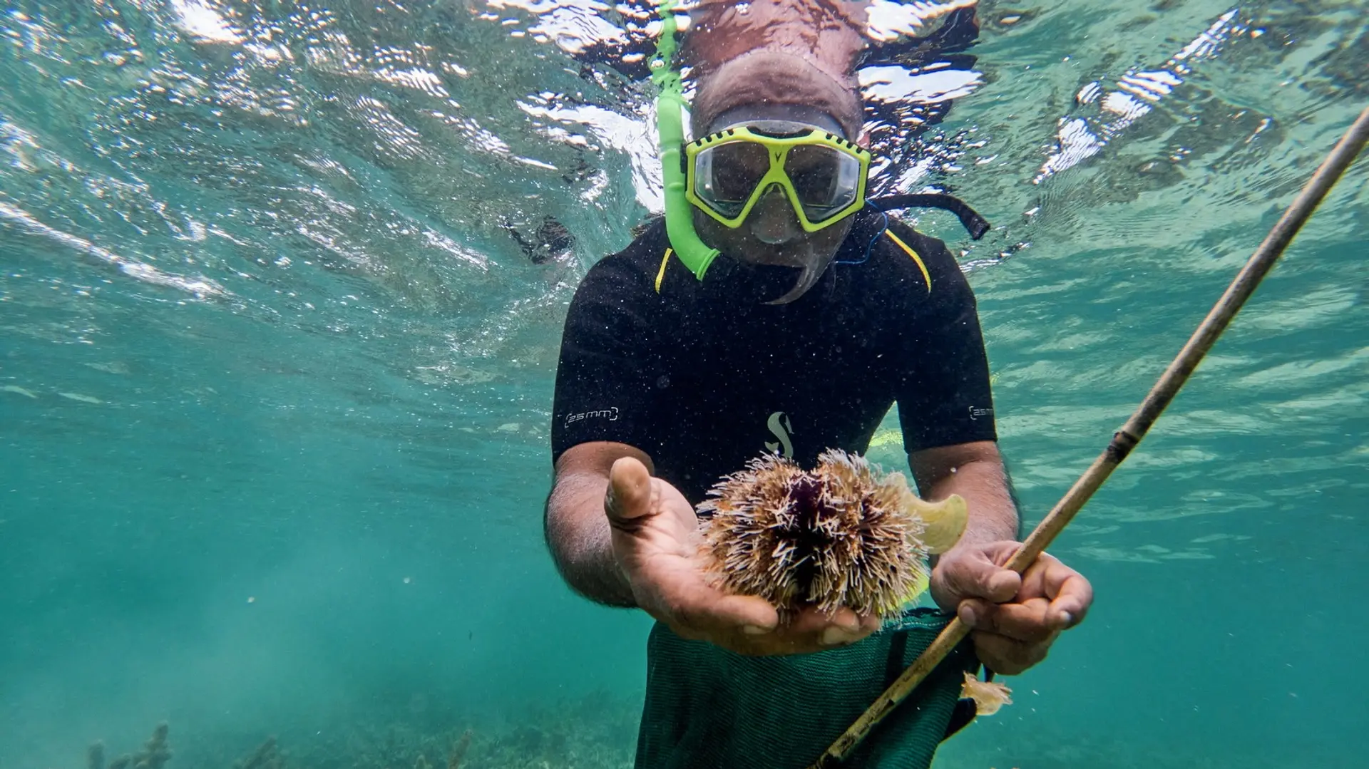 Hotel review Service & Facilities' - LUX* Le Morne - 9