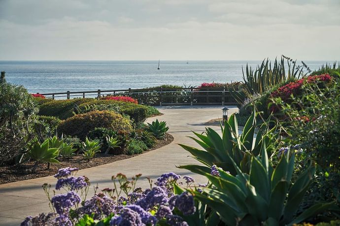 Montage Laguna Beach - 3