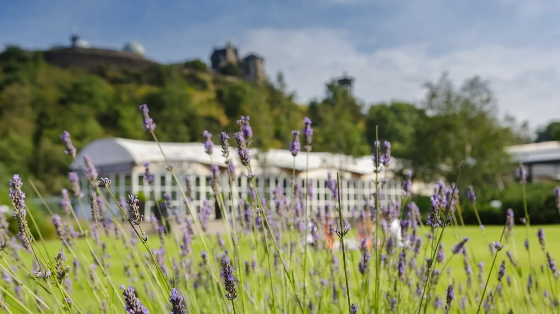 Hotel review Sustainability' - The Glasshouse, Autograph Collection - 0