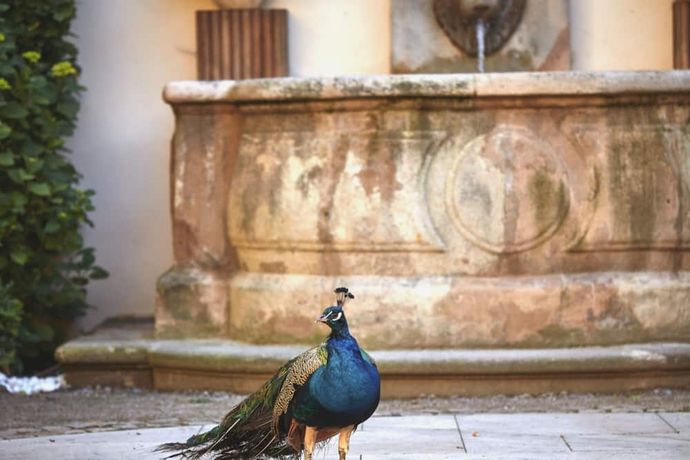 Verified hotel review - The Grand Mark Prague - 9