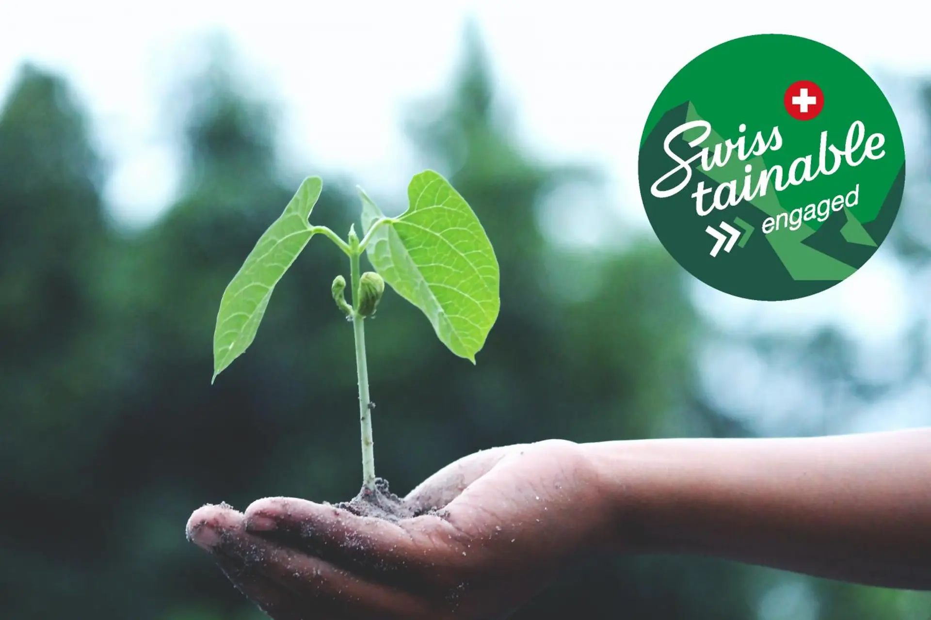 Hotel review Sustainability' - Hotel Schweizerhof Bern & Spa - 0