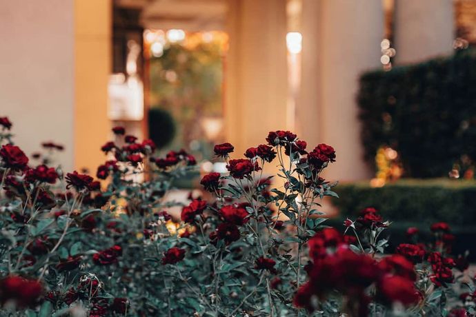 Verified hotel review - The Palazzo Montecasino Hotel Johannesburg - 29