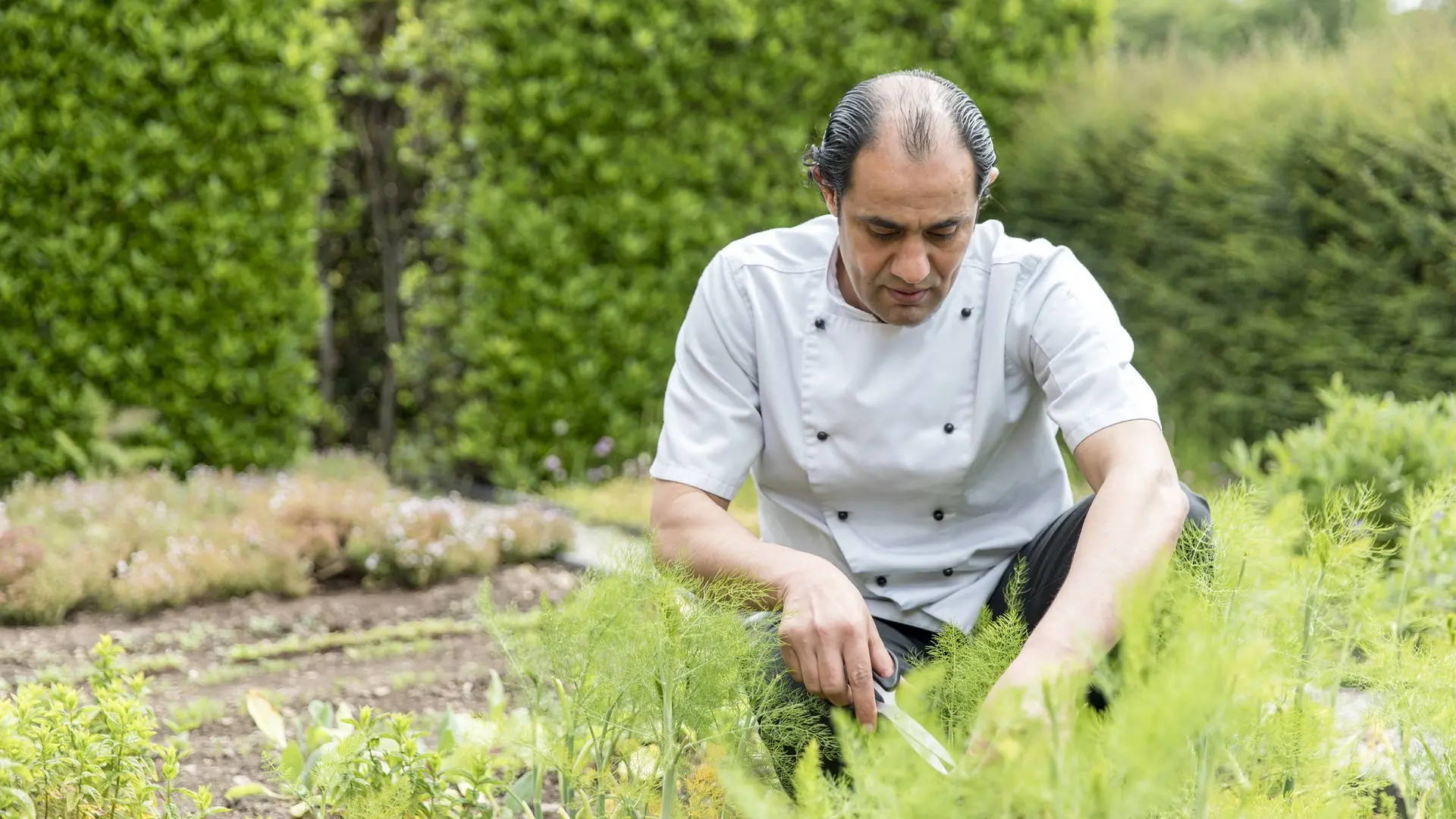 Hotel review Sustainability' - Bodysgallen Hall & Spa - 0