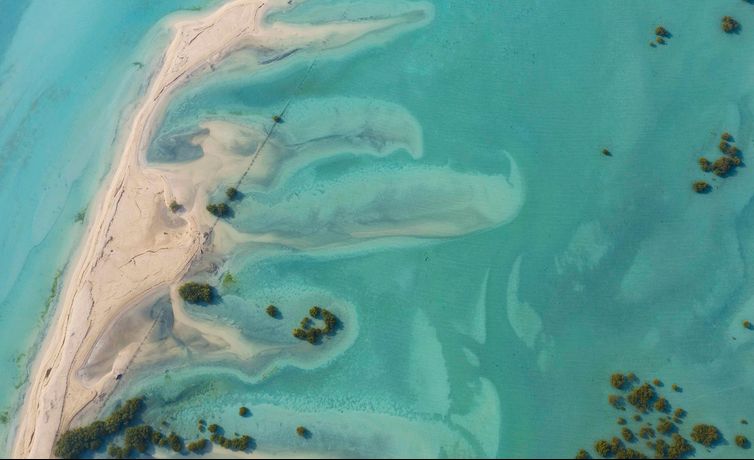 Verified hotel review - Anantara Sir Bani Yas Island Al Yamm Villa Resort - 20