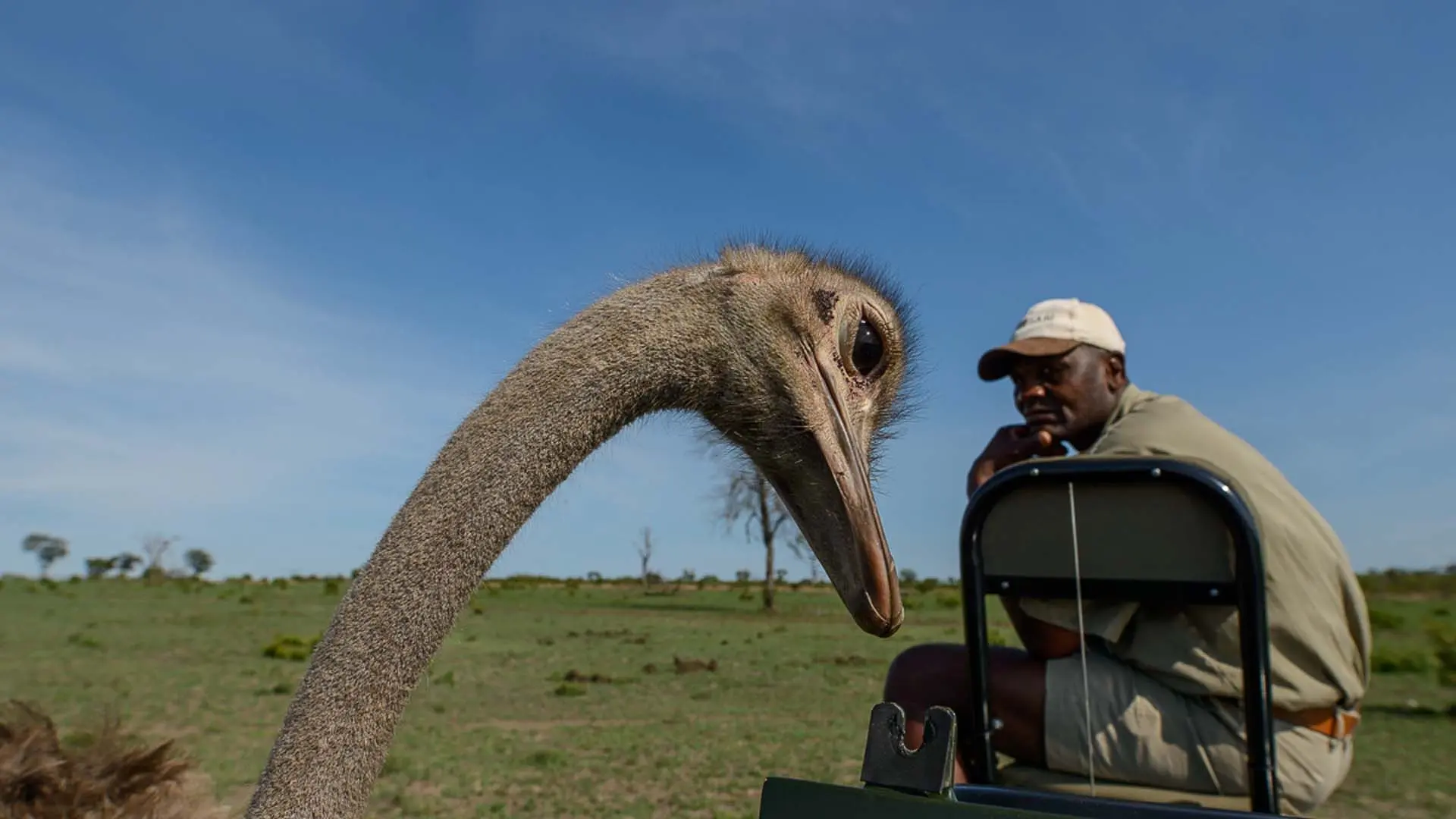 Hotel review Service & Facilities' - Sabi Sabi Private Game Reserve  - 2