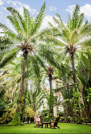 Casa Colonial Beach & Spa - 31