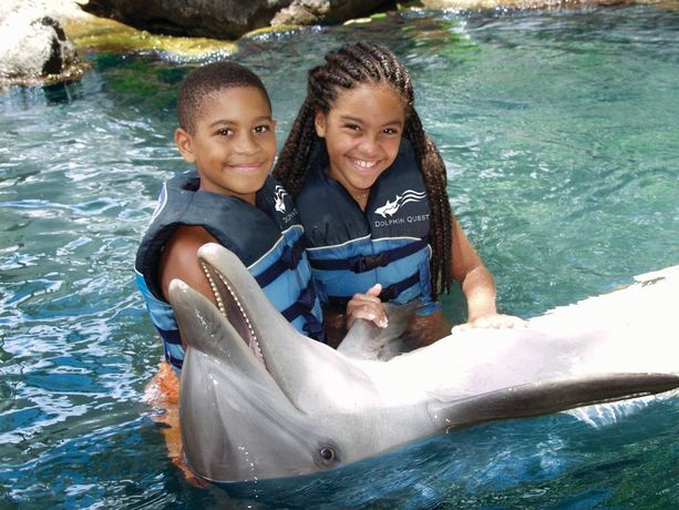 Verified hotel review - The Kahala Hotel and Resort - 40