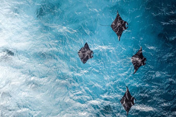 Verified hotel review - Denis Private Island Seychelles - 12