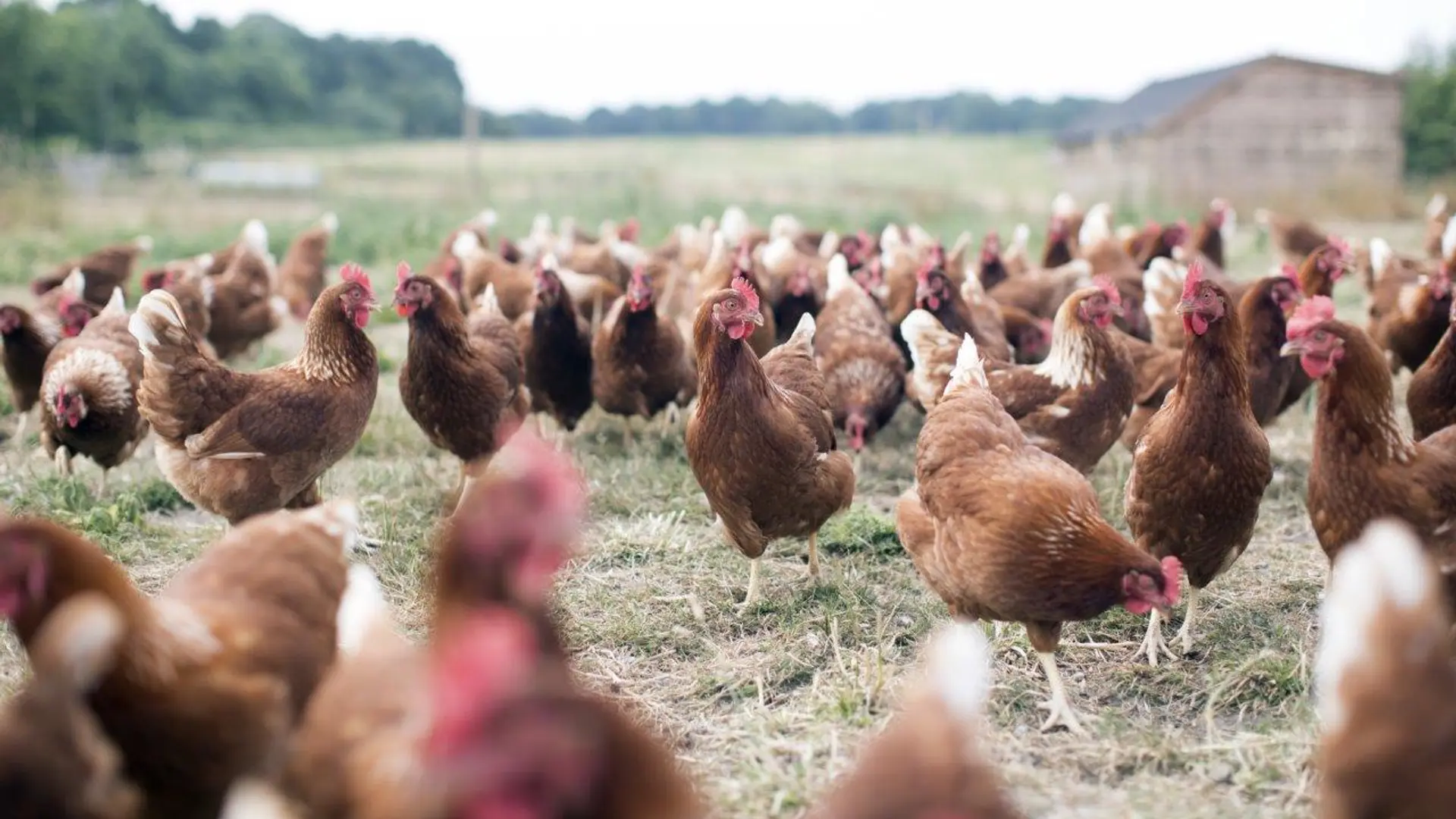 Review of Heckfield Place - 4