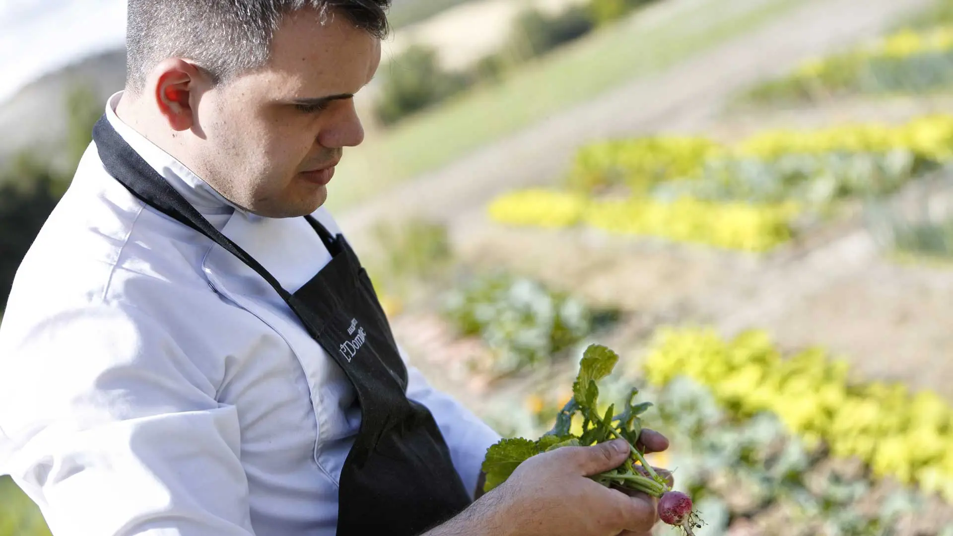 Hotel review Sustainability' - Abadia Retuerta LeDomaine - 1