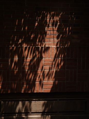 Verified hotel review - Capella Shanghai Jian Ye Li - 59