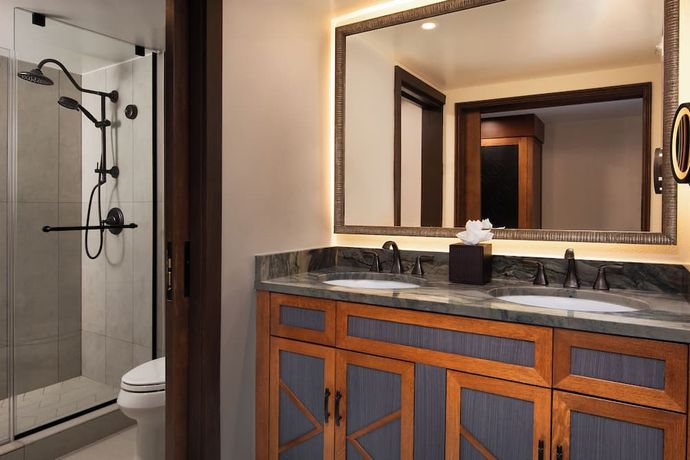 Verified hotel review - Disney's Animal Kingdom Lodge - 19