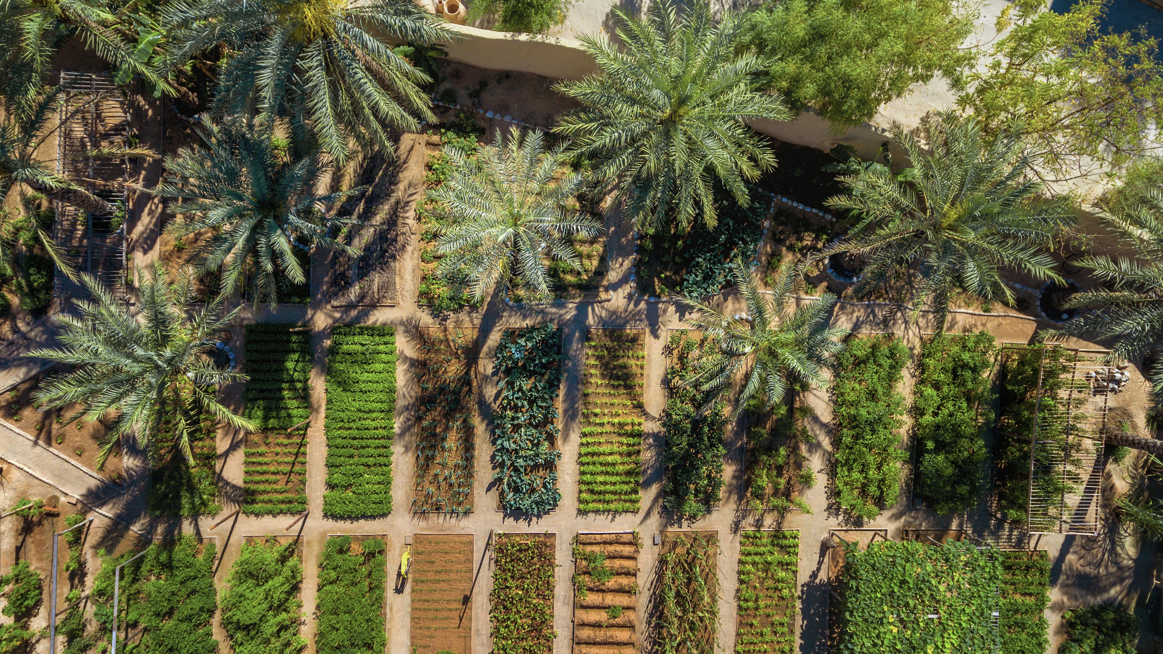 Hotel review Sustainability' - Six Senses Zighy Bay - 2